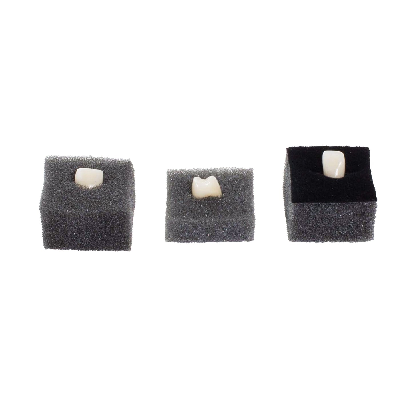 1” Flexible and Rigid Box Fillers