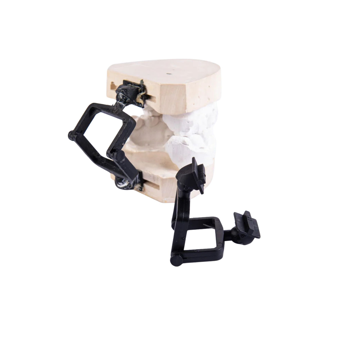 Disposable Crown & Bridge Articulators