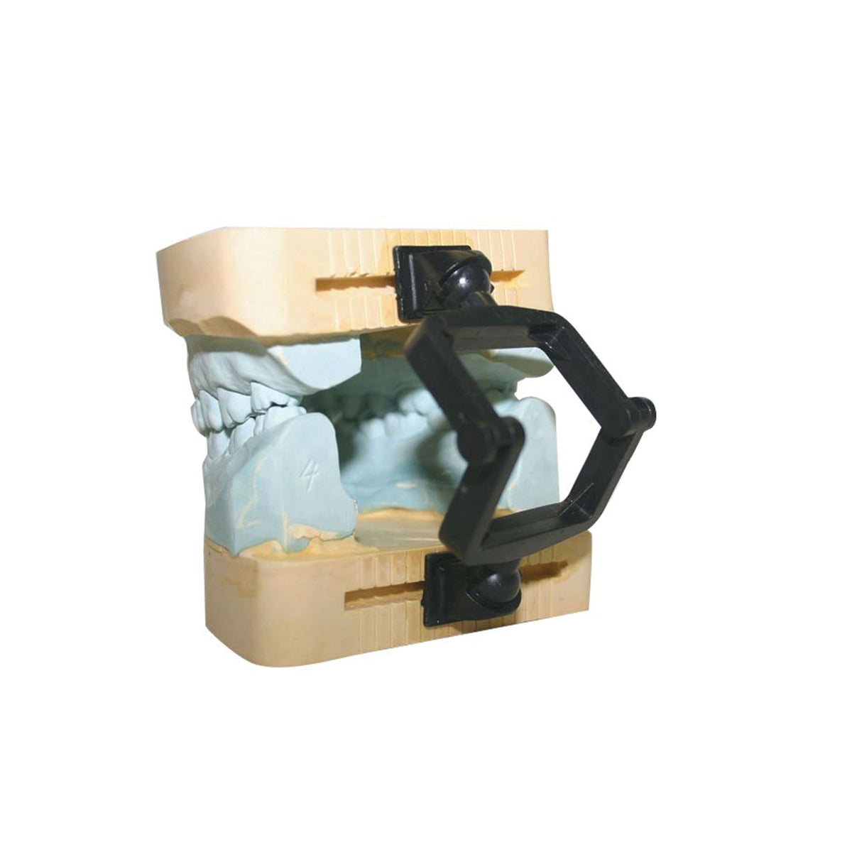 Disposable Crown & Bridge Articulators