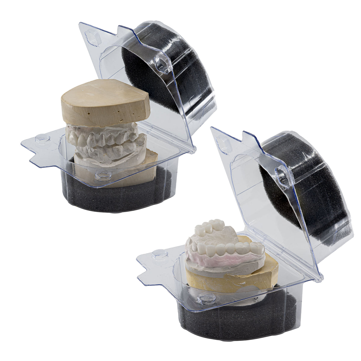 Model & Denture Shipping Boxes