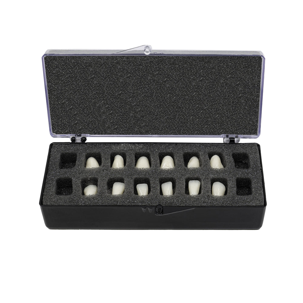 V16 with Foam Fillers