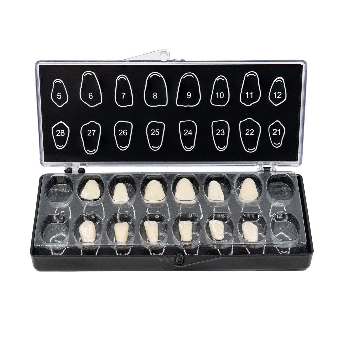 V16 with Plastic Inserts