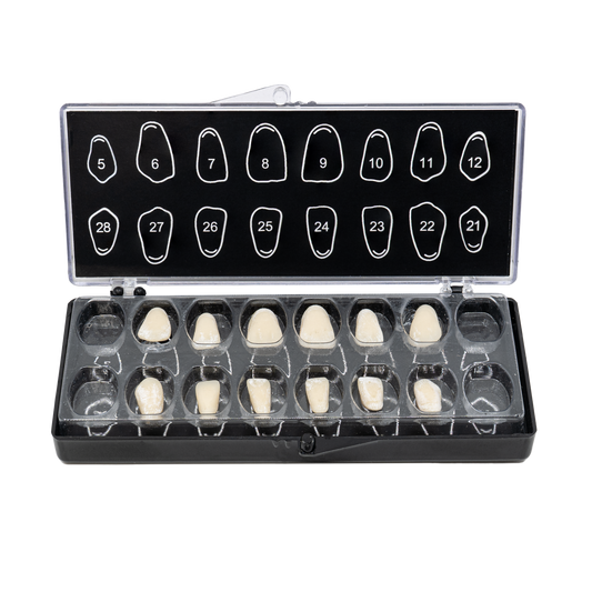 V16 with Plastic Inserts