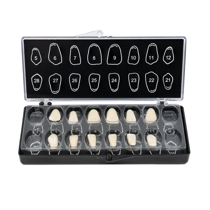 V16 with Plastic Inserts