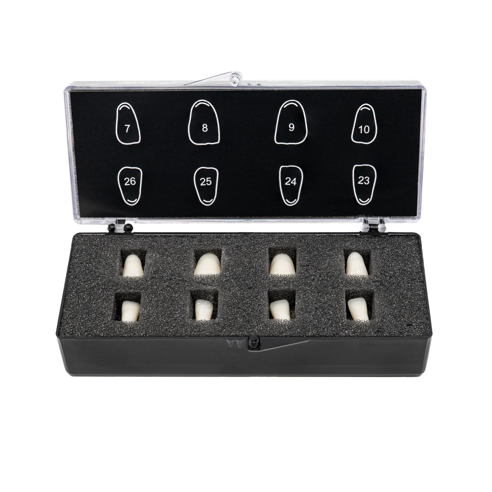 V8 with Foam Fillers