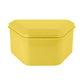 Denture Boxes