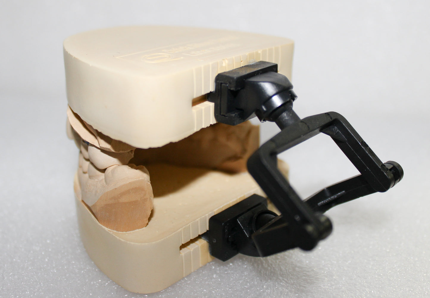 3D Disposable Crown & Bridge Articulators