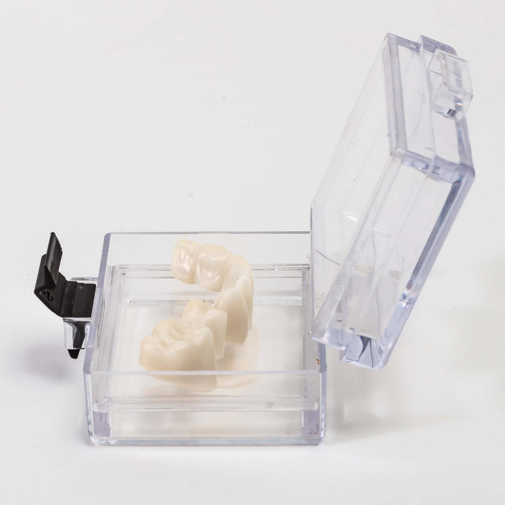 Safe-Lox Medium Membrane Boxes