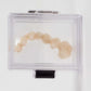Safe-Lox Medium Membrane Boxes