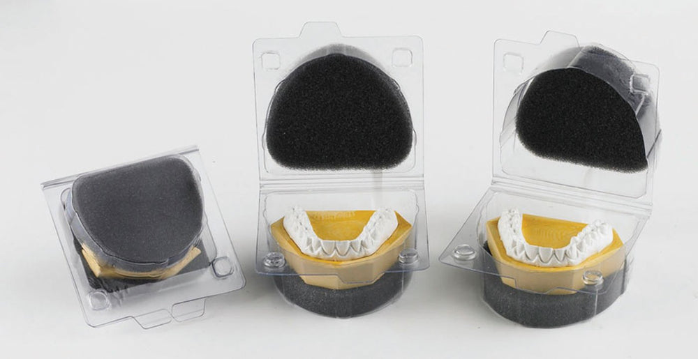 Model & Denture Shipping Boxes