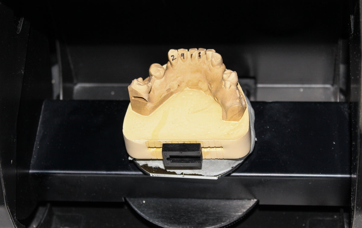 3D Disposable Crown & Bridge Articulators