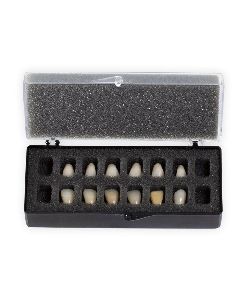 V16 with Foam Fillers